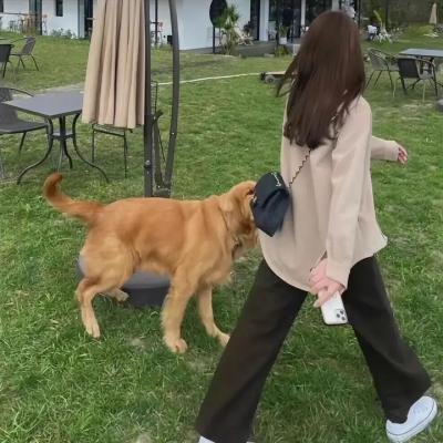 很久没有敬我了妳